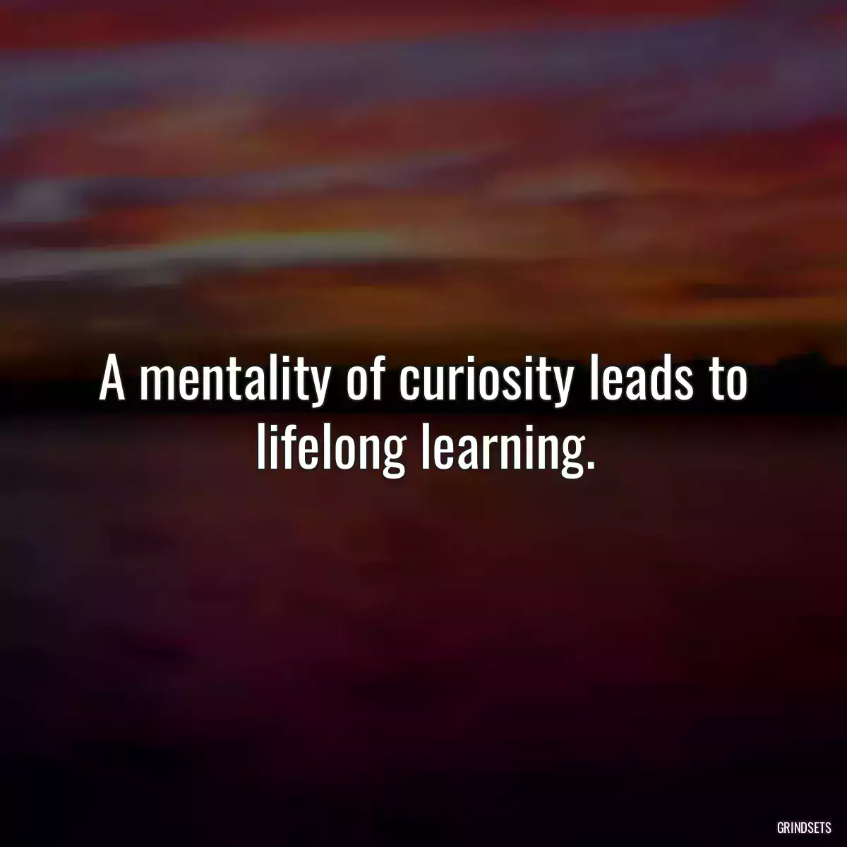 A mentality of curiosity leads to lifelong learning.