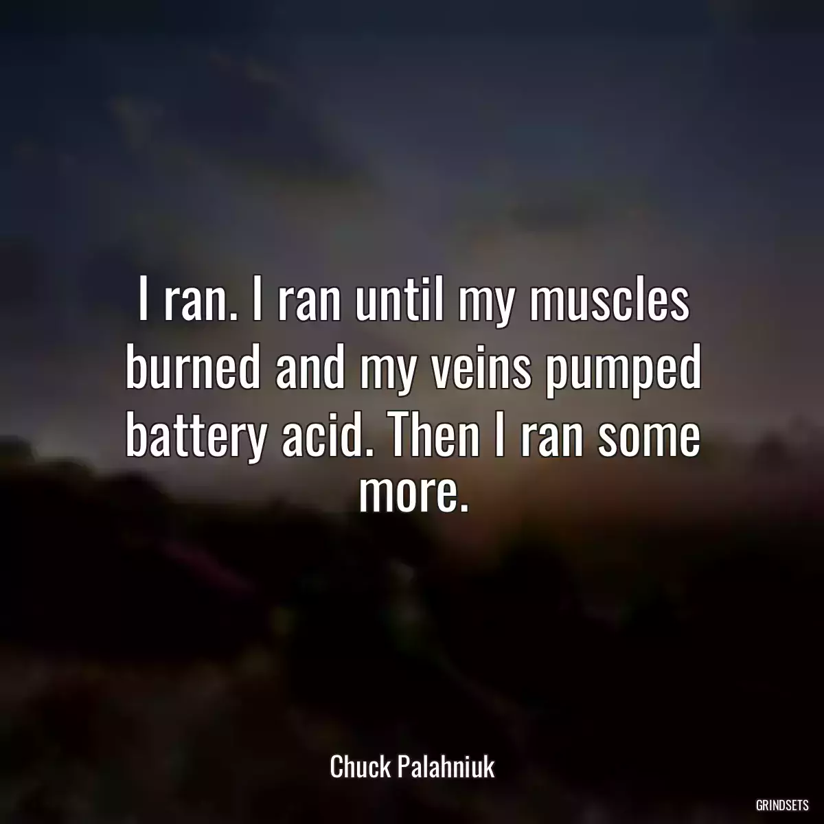 I ran. I ran until my muscles burned and my veins pumped battery acid. Then I ran some more.