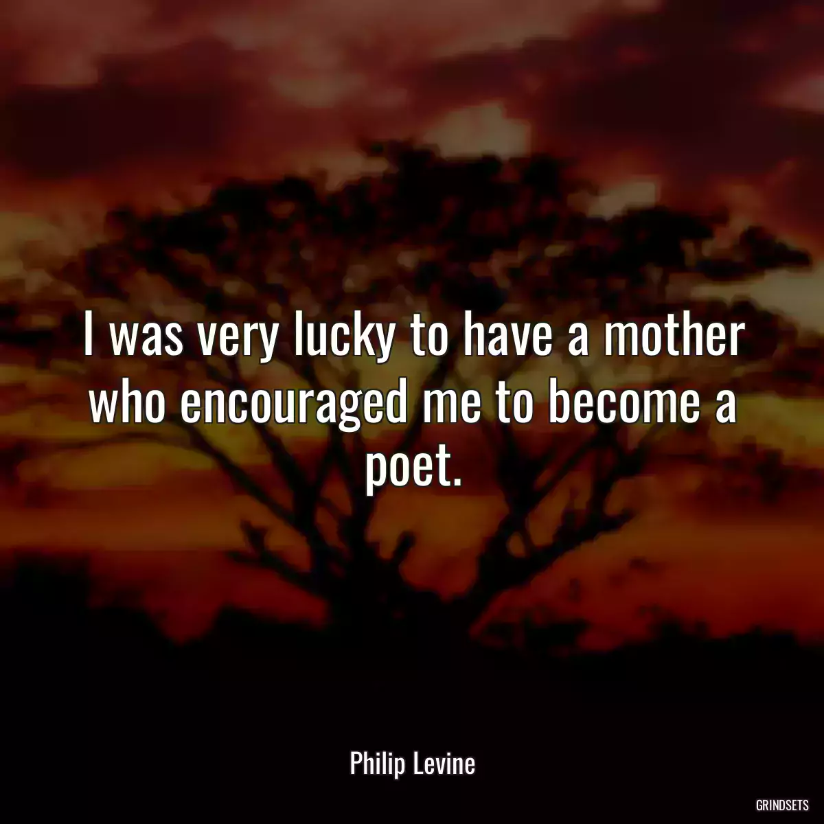 I was very lucky to have a mother who encouraged me to become a poet.