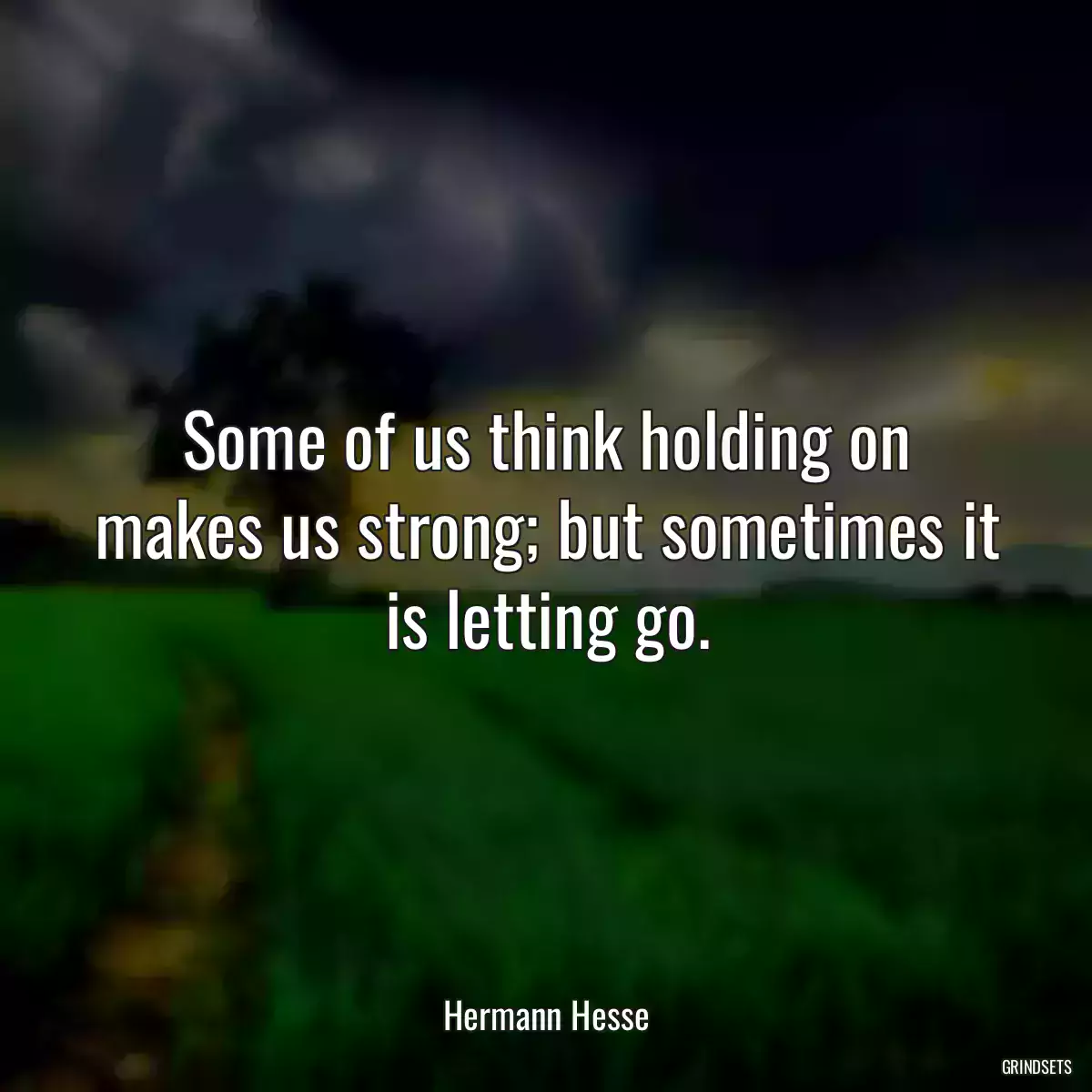 Some of us think holding on makes us strong; but sometimes it is letting go.