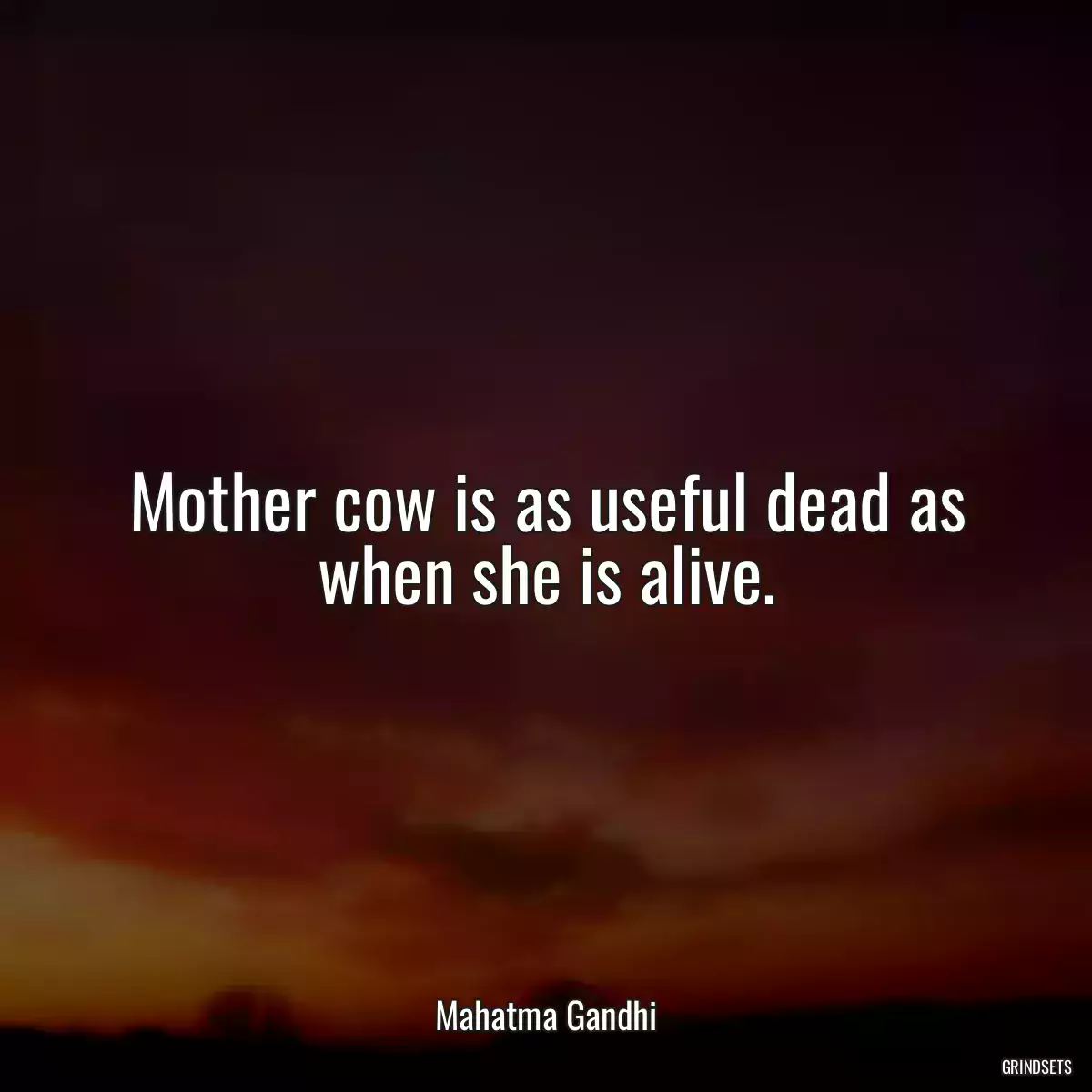 Mother cow is as useful dead as when she is alive.
