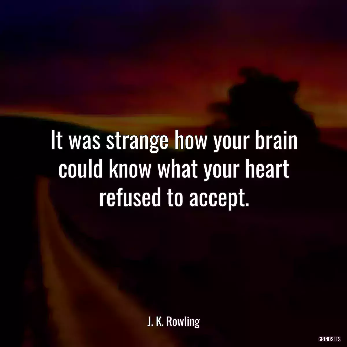 It was strange how your brain could know what your heart refused to accept.