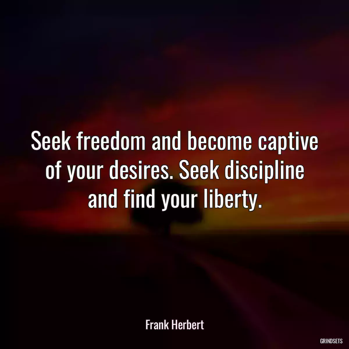 Seek freedom and become captive of your desires. Seek discipline and find your liberty.