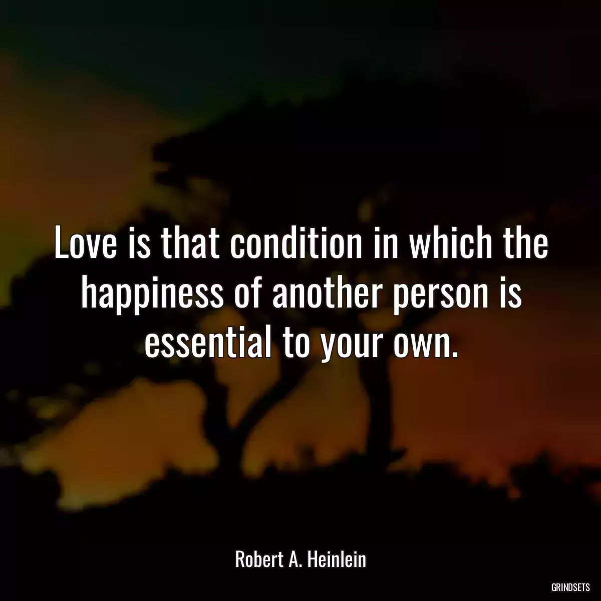 Love is that condition in which the happiness of another person is essential to your own.