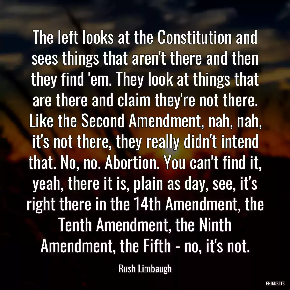 The left looks at the Constitution and sees things that aren\'t there and then they find \'em. They look at things that are there and claim they\'re not there. Like the Second Amendment, nah, nah, it\'s not there, they really didn\'t intend that. No, no. Abortion. You can\'t find it, yeah, there it is, plain as day, see, it\'s right there in the 14th Amendment, the Tenth Amendment, the Ninth Amendment, the Fifth - no, it\'s not.