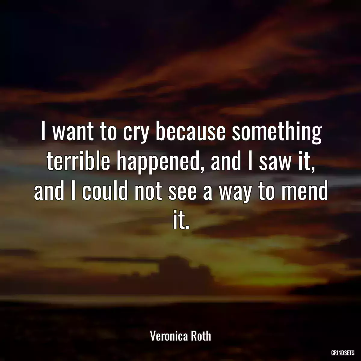 I want to cry because something terrible happened, and I saw it, and I could not see a way to mend it.