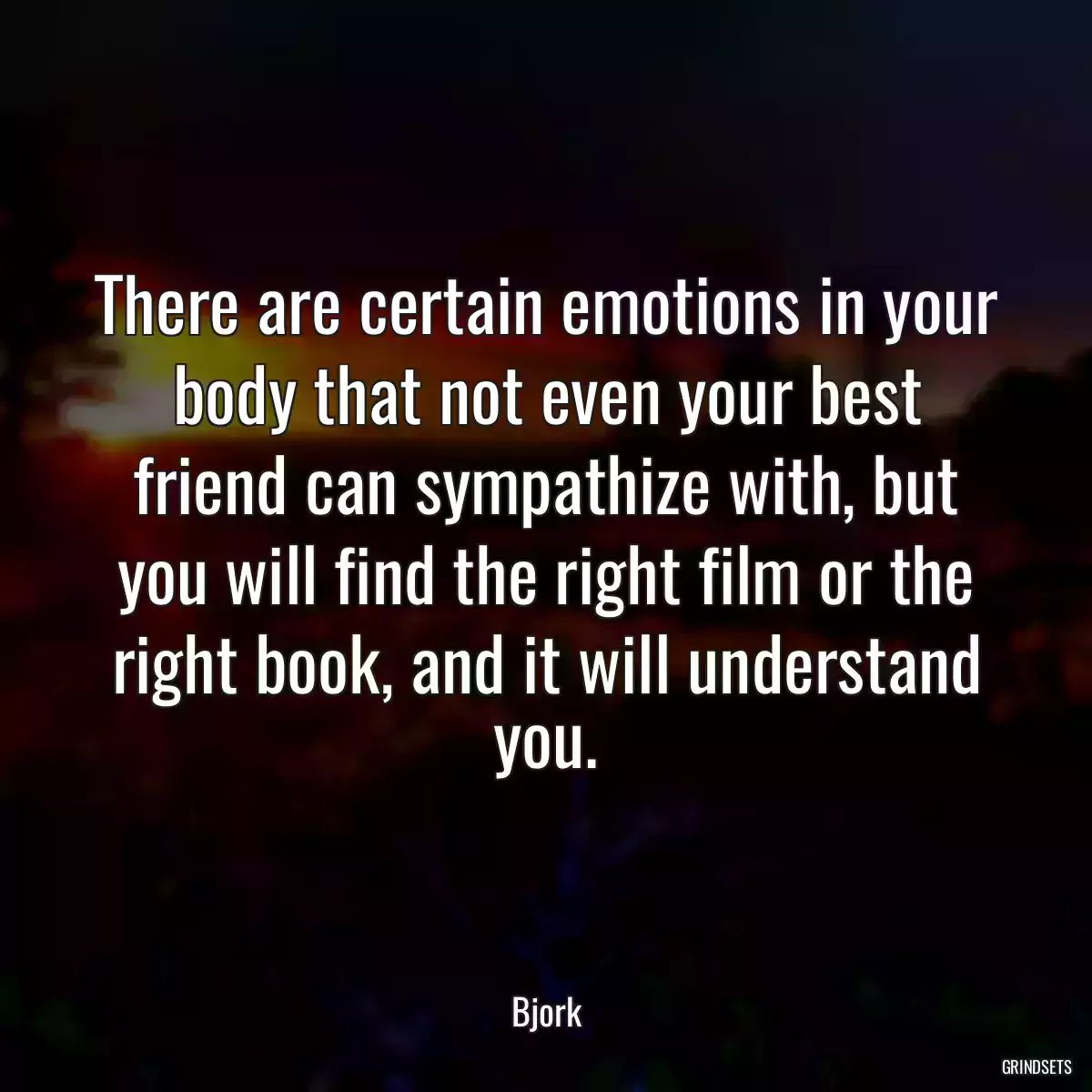 There are certain emotions in your body that not even your best friend can sympathize with, but you will find the right film or the right book, and it will understand you.