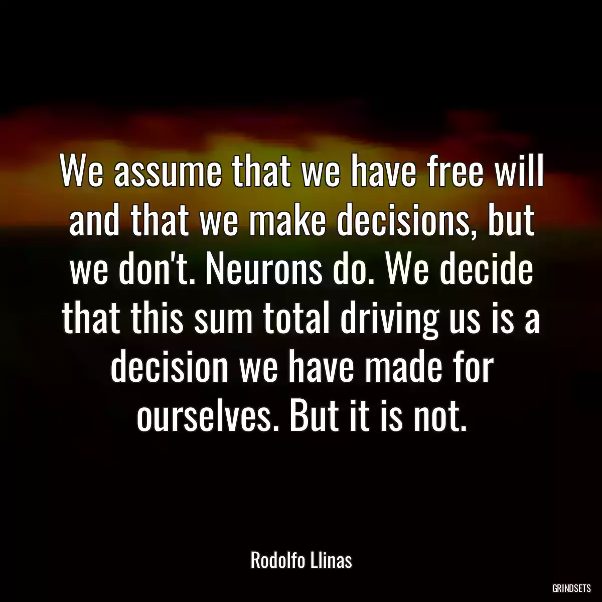 We assume that we have free will and that we make decisions, but we don\'t. Neurons do. We decide that this sum total driving us is a decision we have made for ourselves. But it is not.