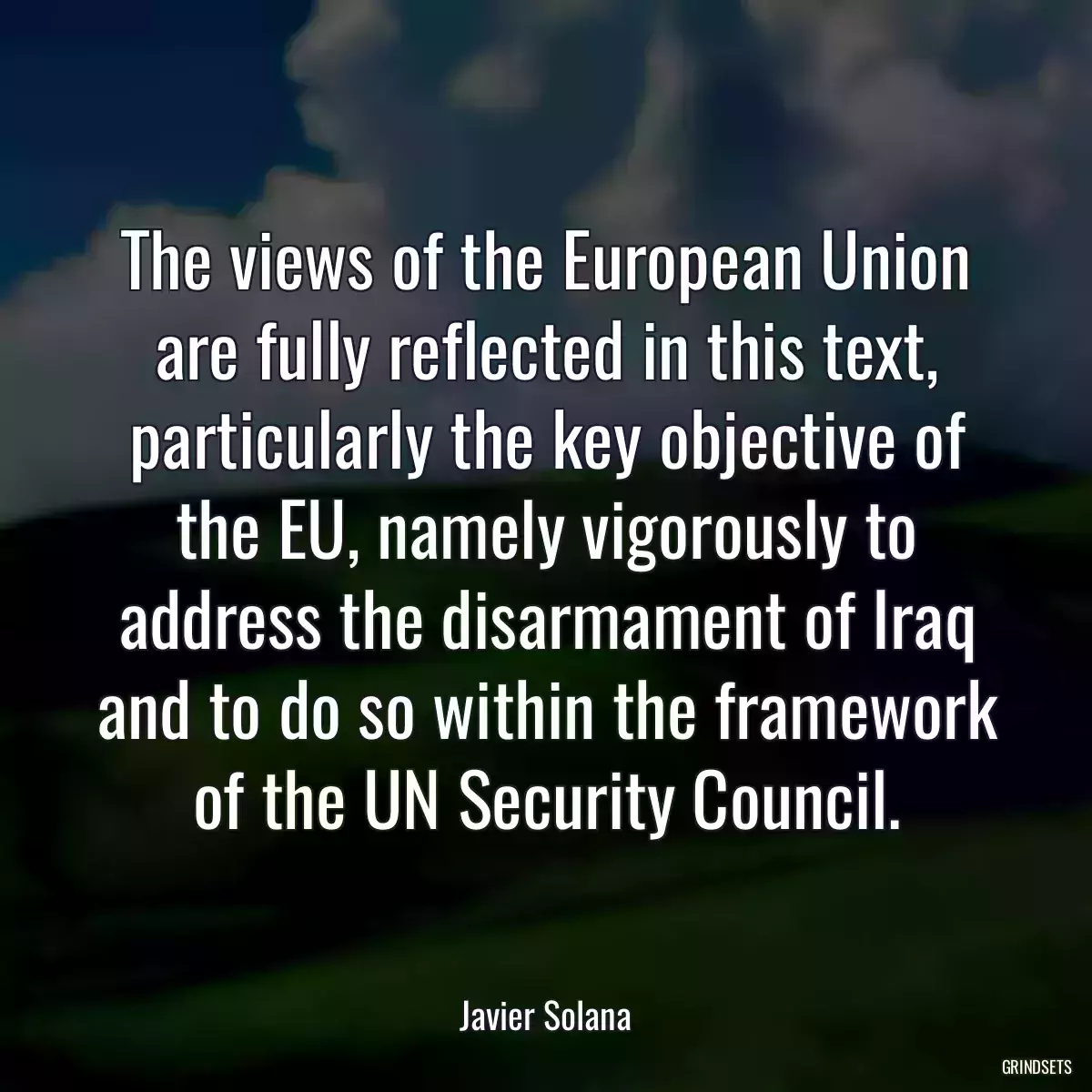 The views of the European Union are fully reflected in this text, particularly the key objective of the EU, namely vigorously to address the disarmament of Iraq and to do so within the framework of the UN Security Council.