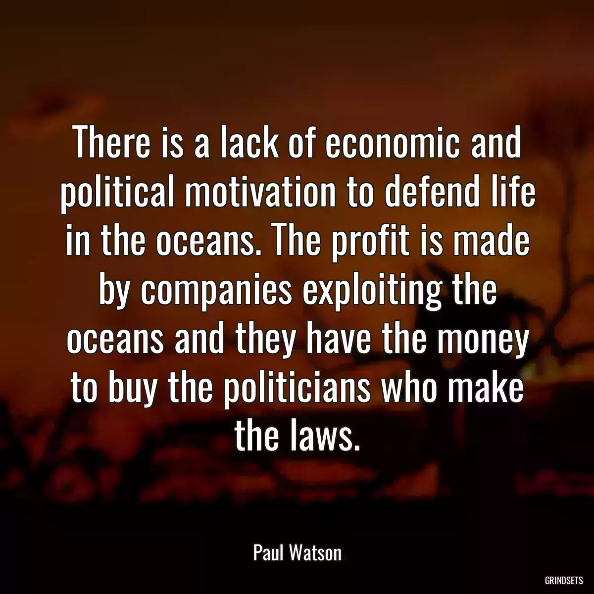 There is a lack of economic and political motivation to defend life in the oceans. The profit is made by companies exploiting the oceans and they have the money to buy the politicians who make the laws.