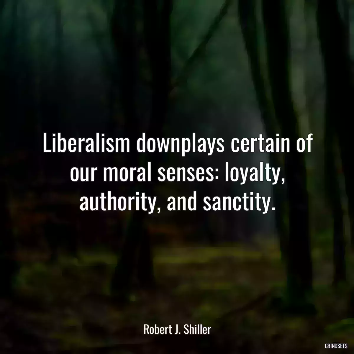 Liberalism downplays certain of our moral senses: loyalty, authority, and sanctity.