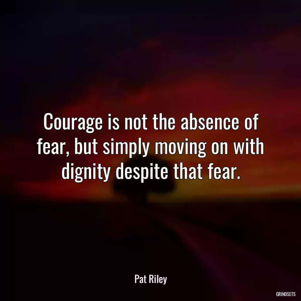 Courage is not the absence of fear, but simply moving on with dignity despite that fear.