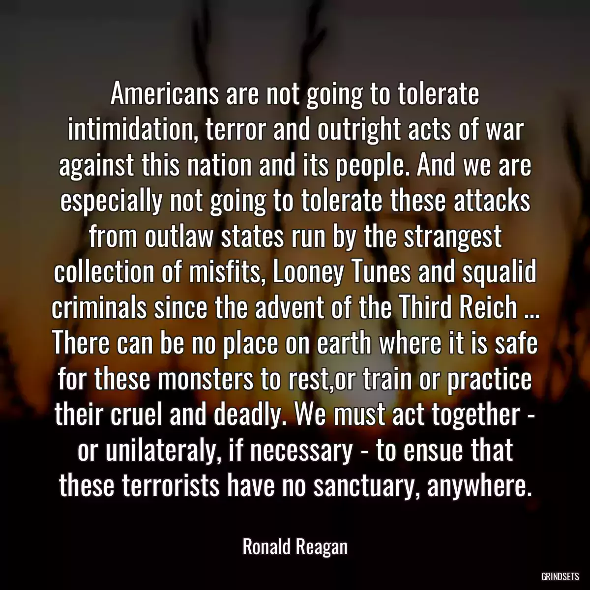 Americans are not going to tolerate intimidation, terror and outright acts of war against this nation and its people. And we are especially not going to tolerate these attacks from outlaw states run by the strangest collection of misfits, Looney Tunes and squalid criminals since the advent of the Third Reich ... There can be no place on earth where it is safe for these monsters to rest,or train or practice their cruel and deadly. We must act together - or unilateraly, if necessary - to ensue that these terrorists have no sanctuary, anywhere.