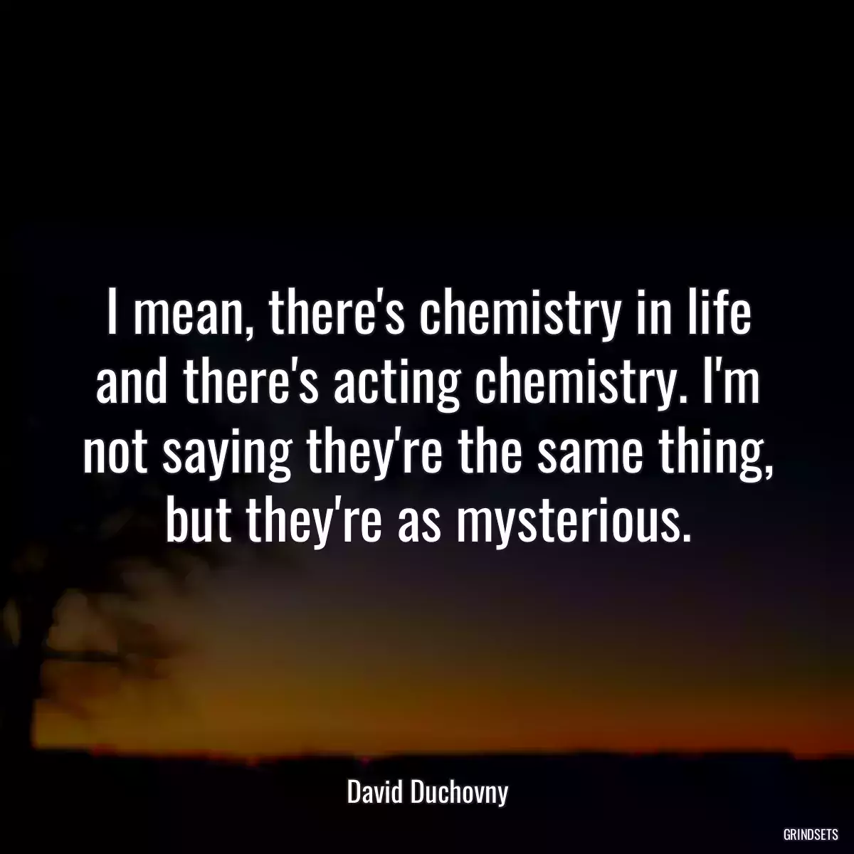 I mean, there\'s chemistry in life and there\'s acting chemistry. I\'m not saying they\'re the same thing, but they\'re as mysterious.