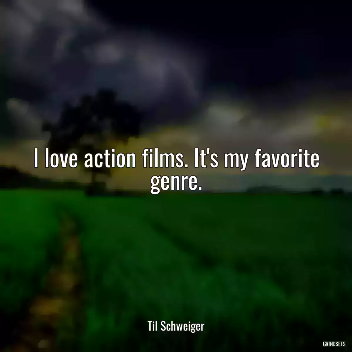 I love action films. It\'s my favorite genre.