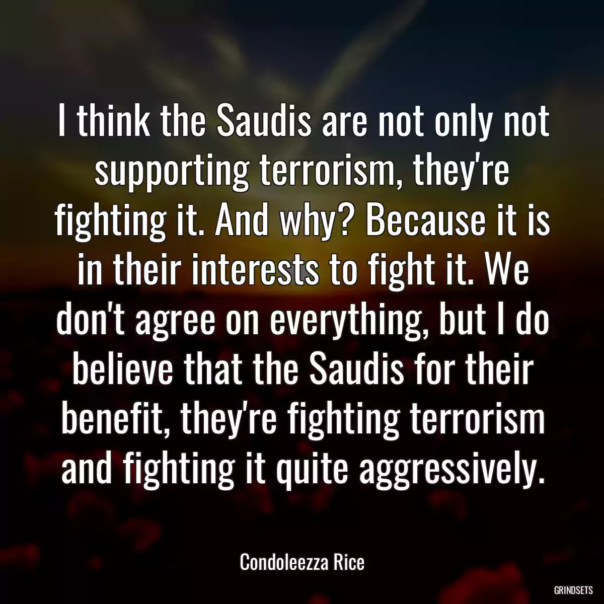 I think the Saudis are not only not supporting terrorism, they\'re fighting it. And why? Because it is in their interests to fight it. We don\'t agree on everything, but I do believe that the Saudis for their benefit, they\'re fighting terrorism and fighting it quite aggressively.