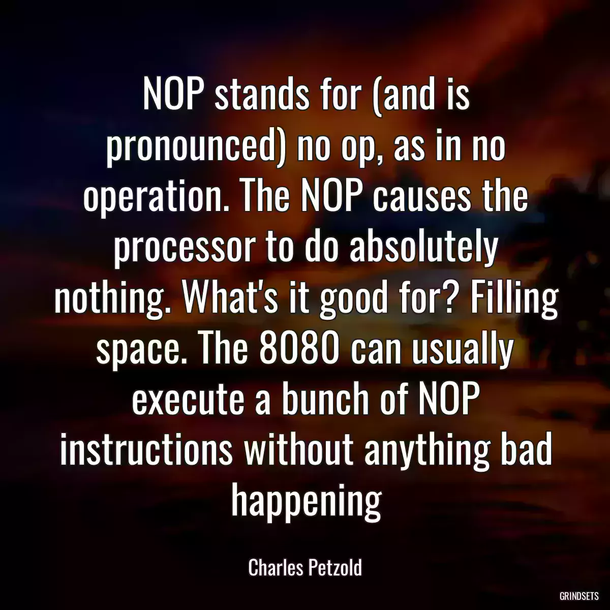 NOP stands for (and is pronounced) no op, as in no operation. The NOP causes the processor to do absolutely nothing. What\'s it good for? Filling space. The 8080 can usually execute a bunch of NOP instructions without anything bad happening