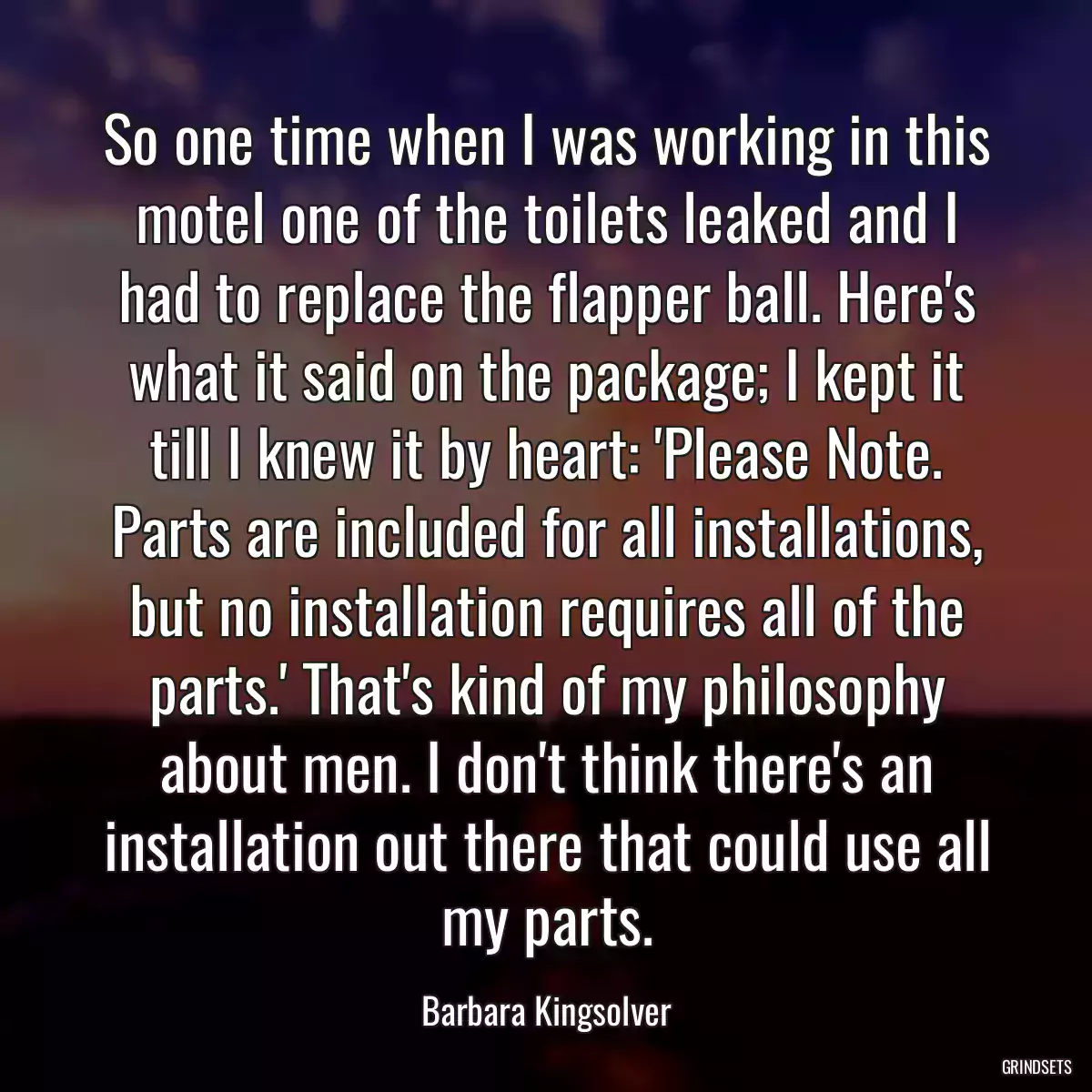 So one time when I was working in this motel one of the toilets leaked and I had to replace the flapper ball. Here\'s what it said on the package; I kept it till I knew it by heart: \'Please Note. Parts are included for all installations, but no installation requires all of the parts.\' That\'s kind of my philosophy about men. I don\'t think there\'s an installation out there that could use all my parts.