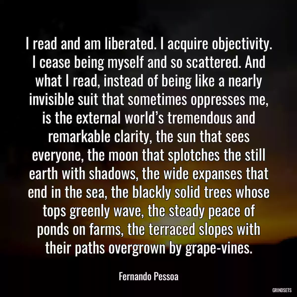 I read and am liberated. I acquire objectivity. I cease being myself and so scattered. And what I read, instead of being like a nearly invisible suit that sometimes oppresses me, is the external world’s tremendous and remarkable clarity, the sun that sees everyone, the moon that splotches the still earth with shadows, the wide expanses that end in the sea, the blackly solid trees whose tops greenly wave, the steady peace of ponds on farms, the terraced slopes with their paths overgrown by grape-vines.