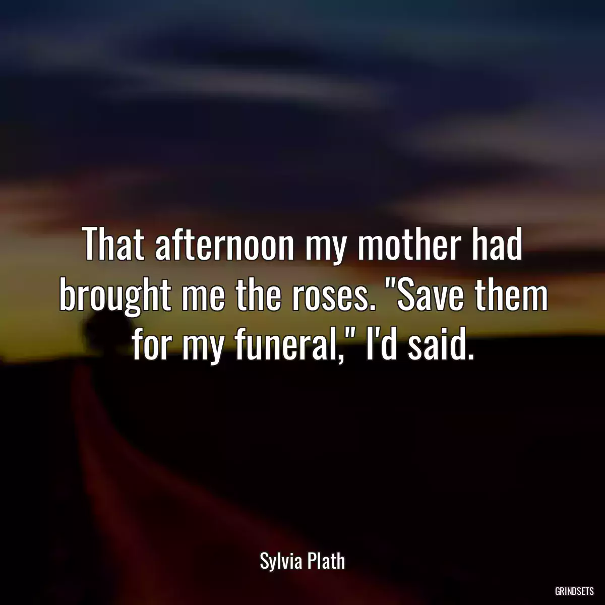 That afternoon my mother had brought me the roses. \