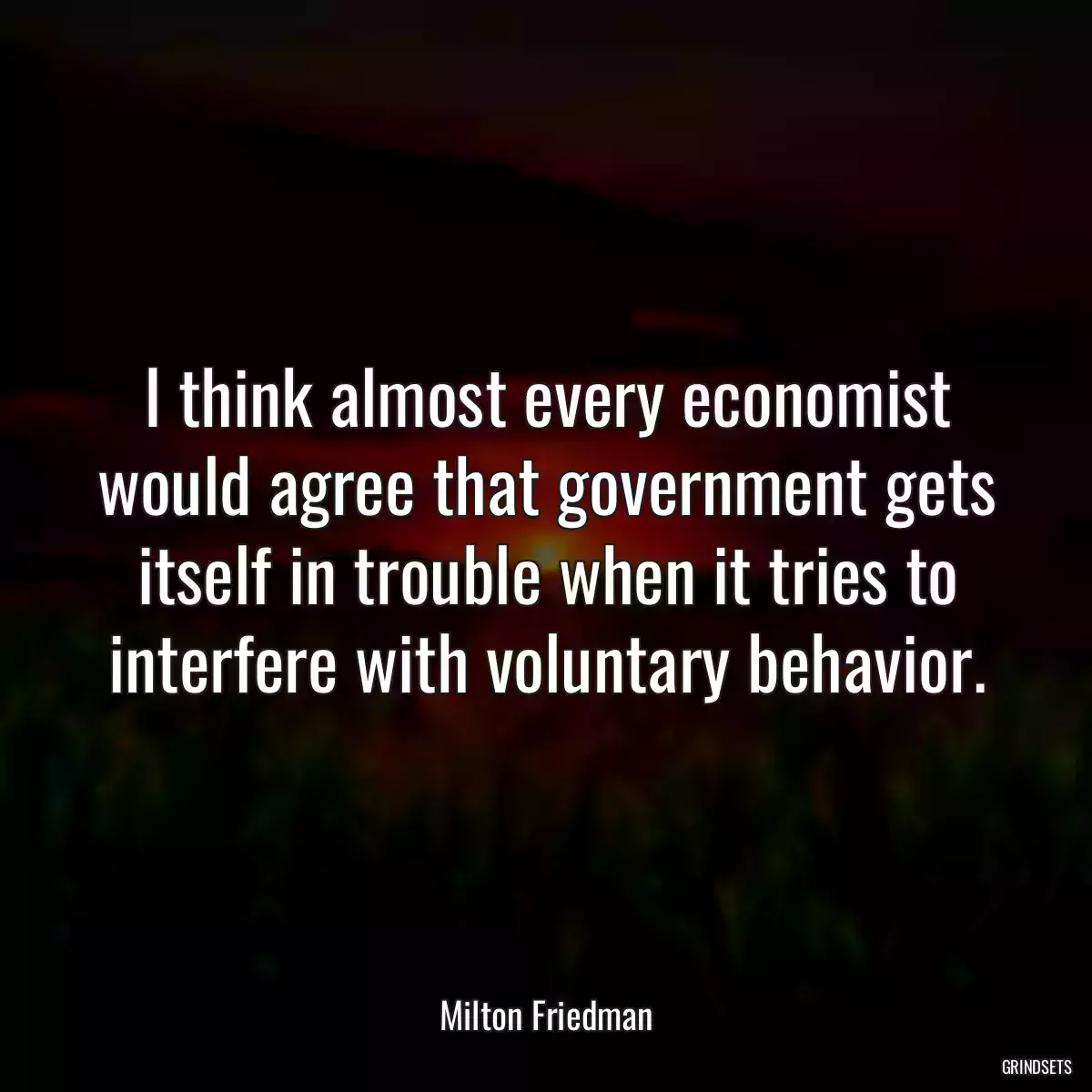 I think almost every economist would agree that government gets itself in trouble when it tries to interfere with voluntary behavior.