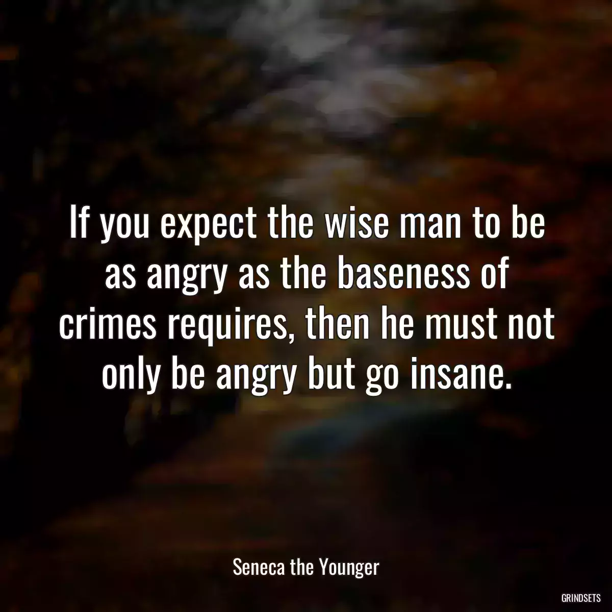 If you expect the wise man to be as angry as the baseness of crimes requires, then he must not only be angry but go insane.