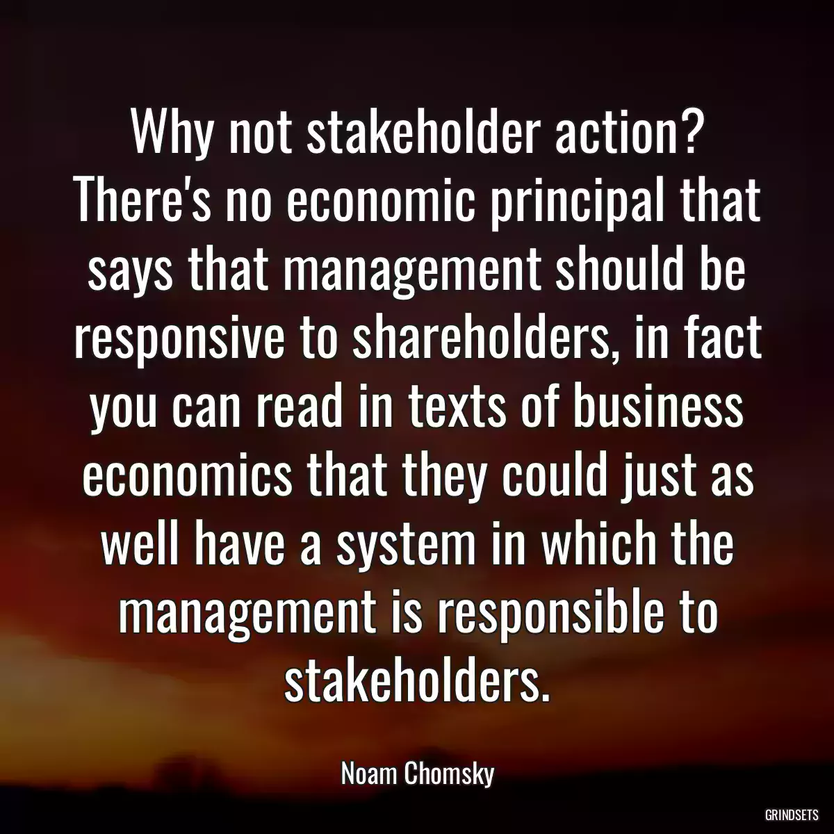 Why not stakeholder action? There\'s no economic principal that says that management should be responsive to shareholders, in fact you can read in texts of business economics that they could just as well have a system in which the management is responsible to stakeholders.