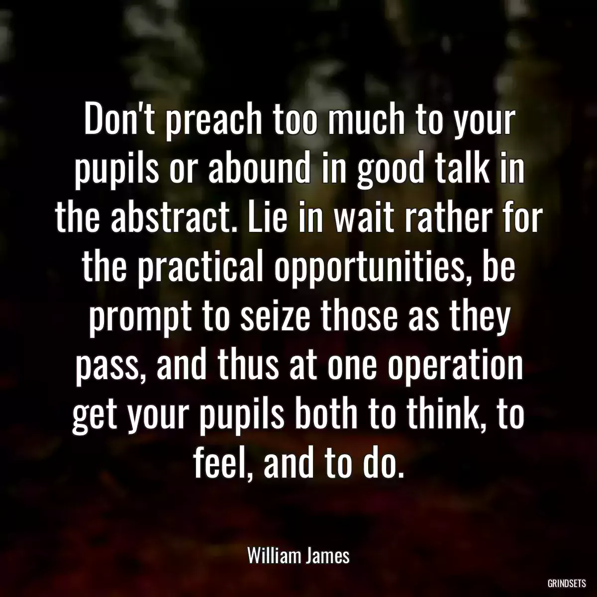 Don\'t preach too much to your pupils or abound in good talk in the abstract. Lie in wait rather for the practical opportunities, be prompt to seize those as they pass, and thus at one operation get your pupils both to think, to feel, and to do.