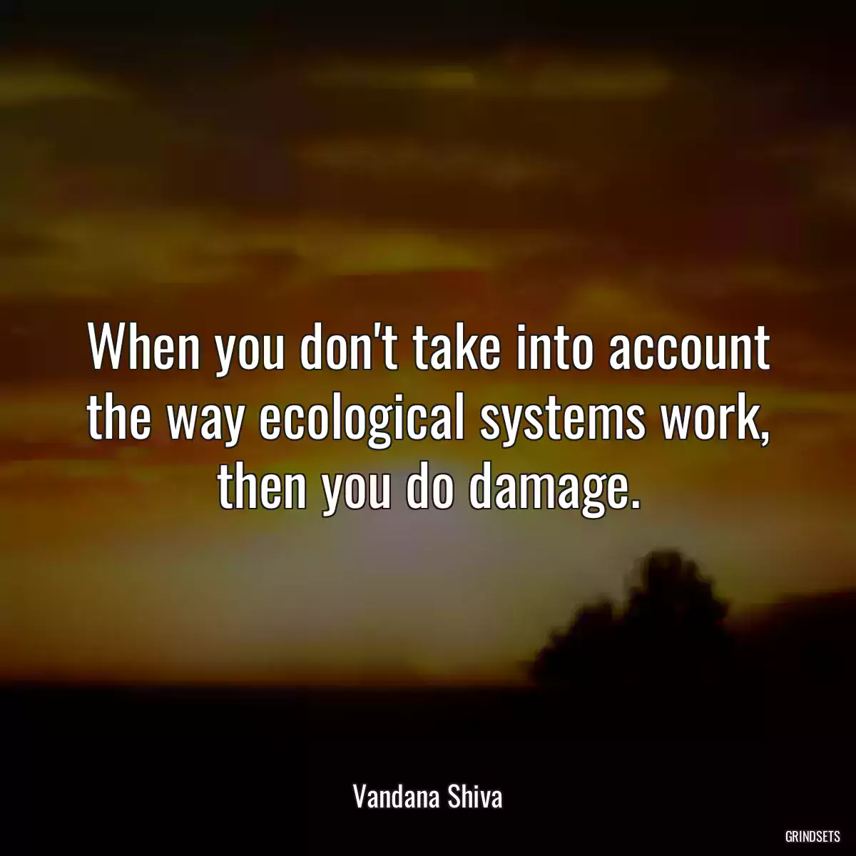 When you don\'t take into account the way ecological systems work, then you do damage.