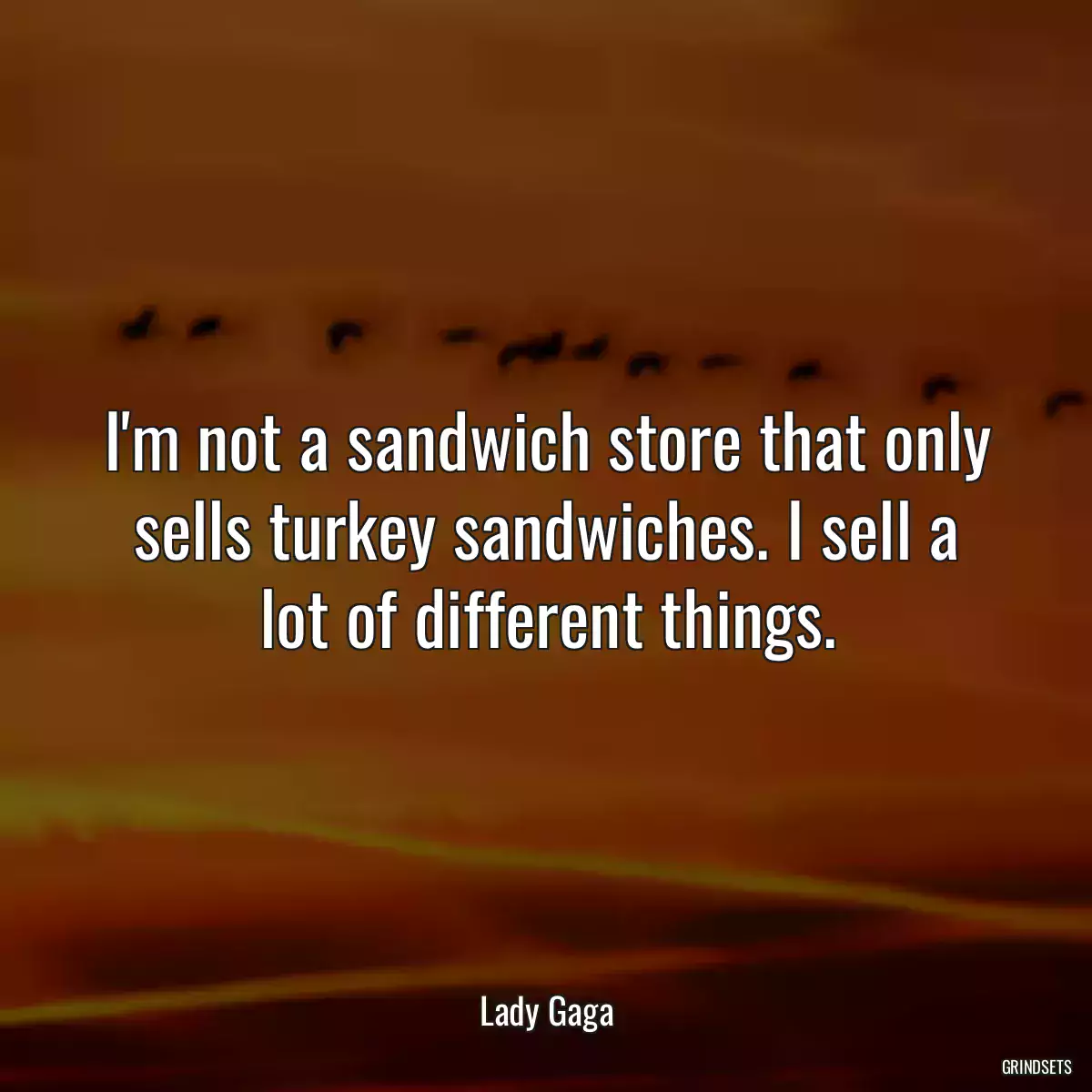 I\'m not a sandwich store that only sells turkey sandwiches. I sell a lot of different things.