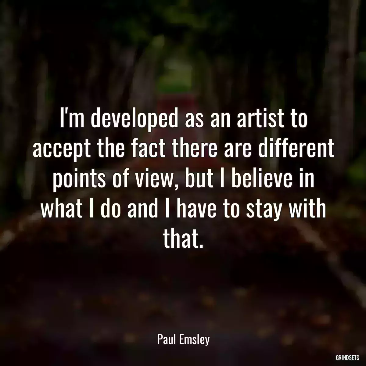 I\'m developed as an artist to accept the fact there are different points of view, but I believe in what I do and I have to stay with that.