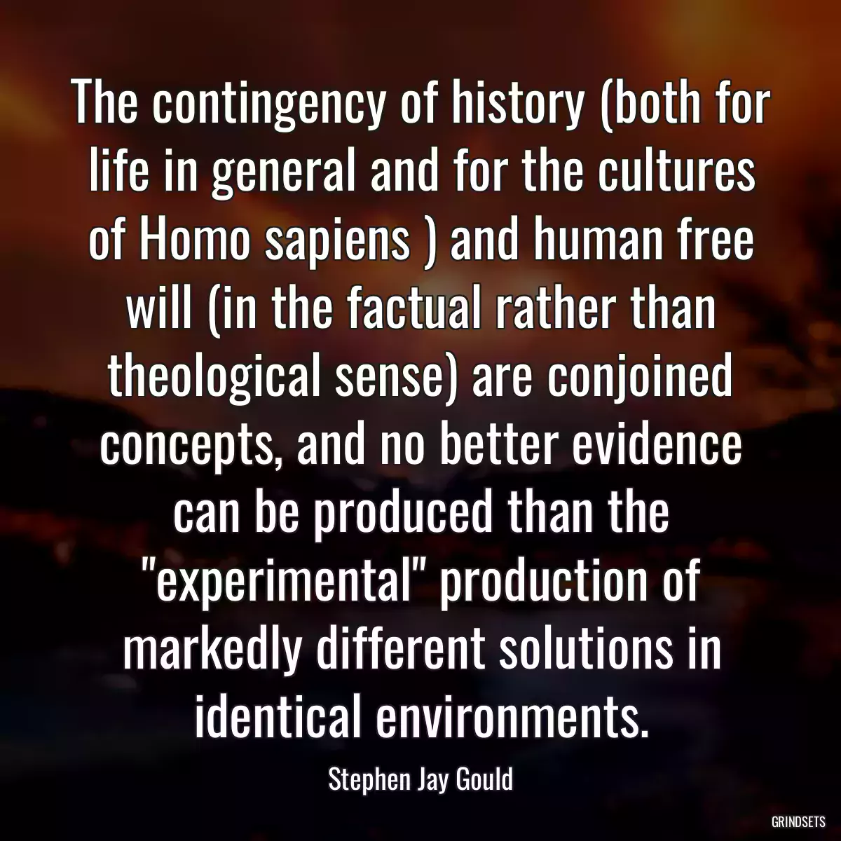 The contingency of history (both for life in general and for the cultures of Homo sapiens ) and human free will (in the factual rather than theological sense) are conjoined concepts, and no better evidence can be produced than the \