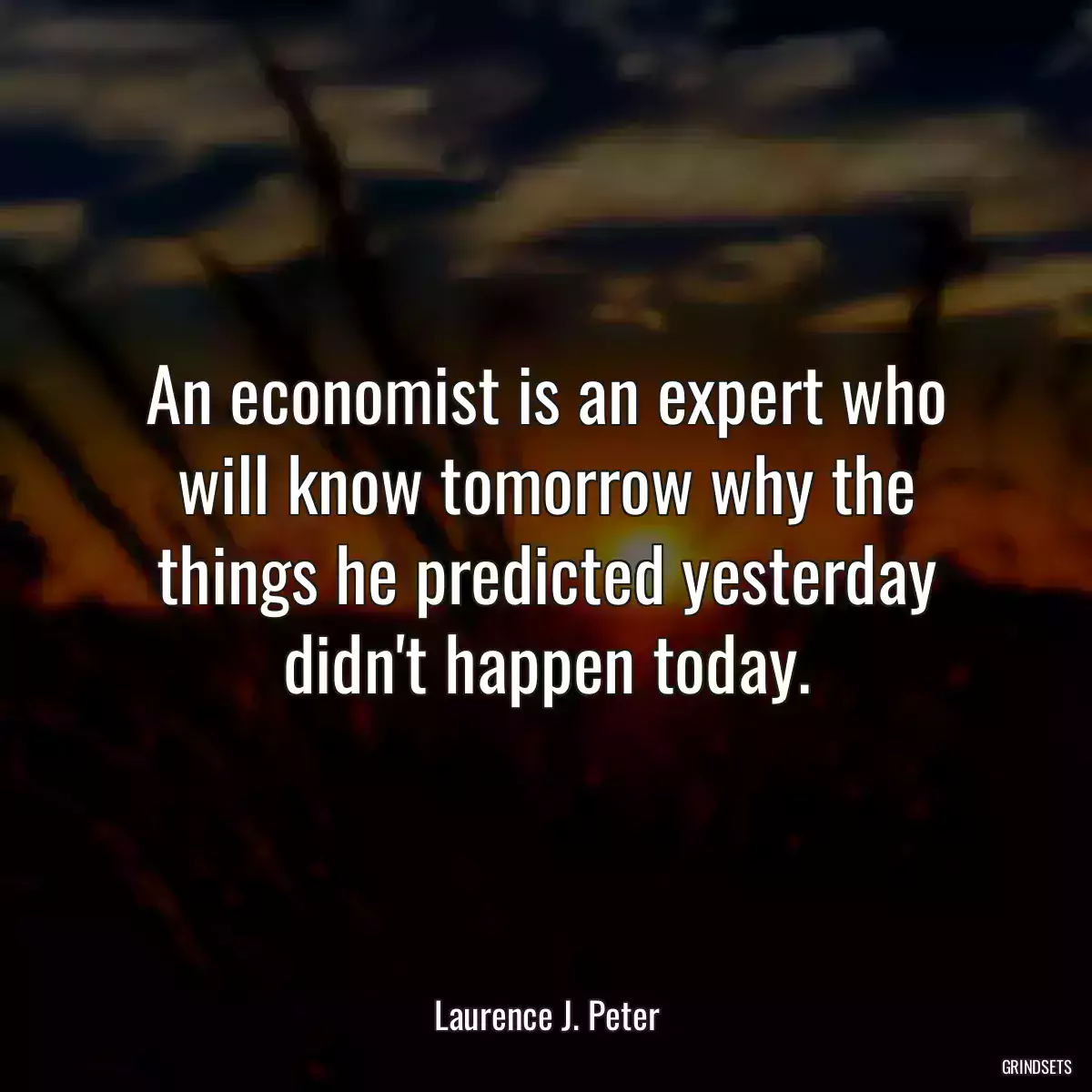 An economist is an expert who will know tomorrow why the things he predicted yesterday didn\'t happen today.