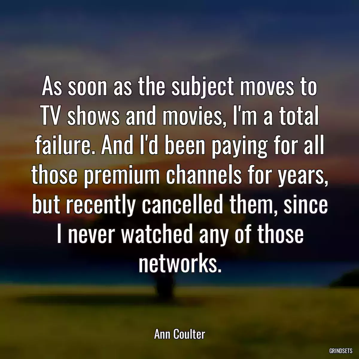 As soon as the subject moves to TV shows and movies, I\'m a total failure. And I\'d been paying for all those premium channels for years, but recently cancelled them, since I never watched any of those networks.