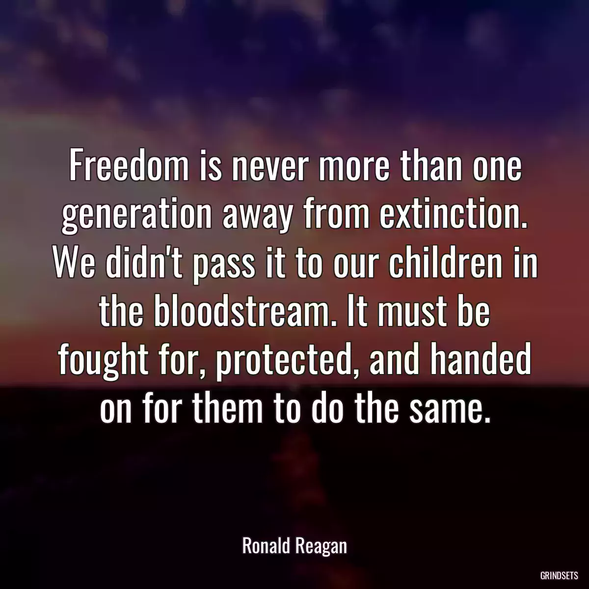 Freedom is never more than one generation away from extinction. We didn\'t pass it to our children in the bloodstream. It must be fought for, protected, and handed on for them to do the same.