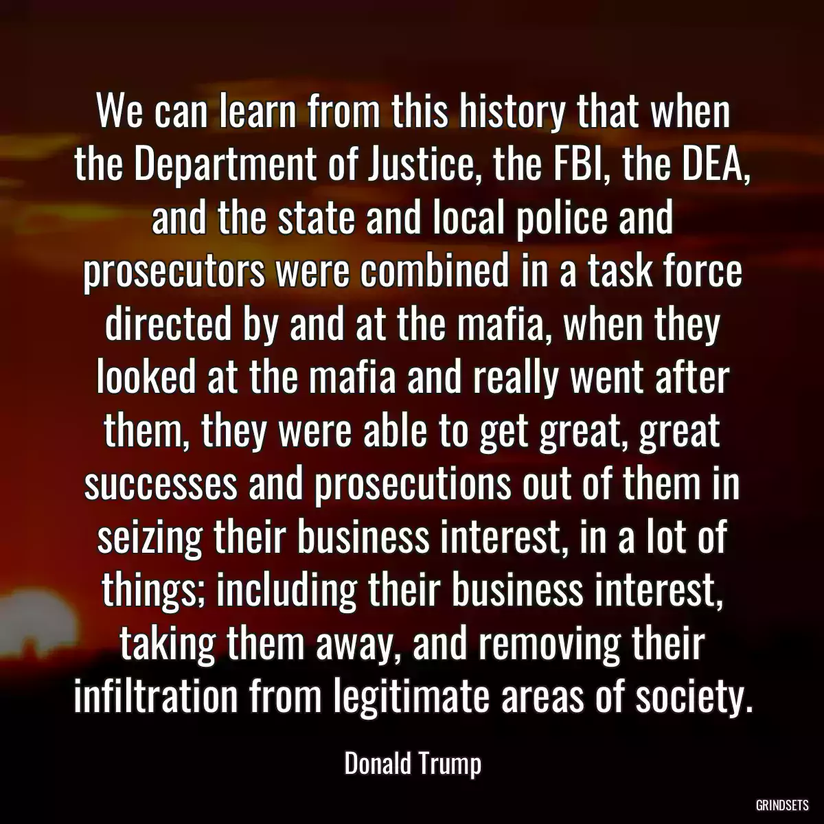 We can learn from this history that when the Department of Justice, the FBI, the DEA, and the state and local police and prosecutors were combined in a task force directed by and at the mafia, when they looked at the mafia and really went after them, they were able to get great, great successes and prosecutions out of them in seizing their business interest, in a lot of things; including their business interest, taking them away, and removing their infiltration from legitimate areas of society.