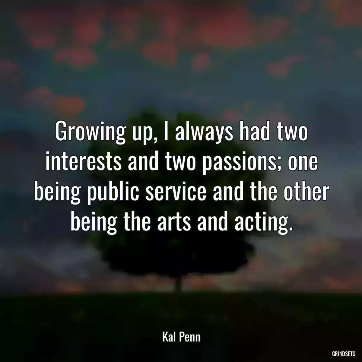 Growing up, I always had two interests and two passions; one being public service and the other being the arts and acting.