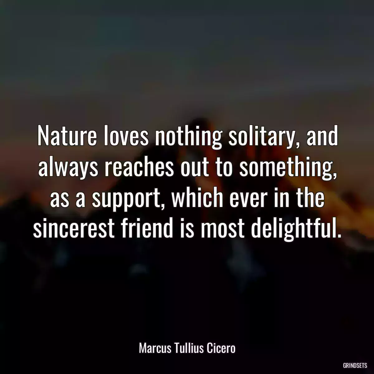 Nature loves nothing solitary, and always reaches out to something, as a support, which ever in the sincerest friend is most delightful.