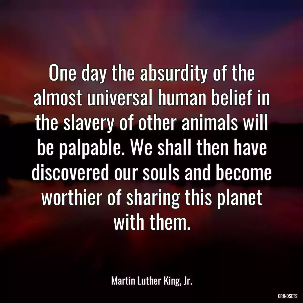 One day the absurdity of the almost universal human belief in the slavery of other animals will be palpable. We shall then have discovered our souls and become worthier of sharing this planet with them.