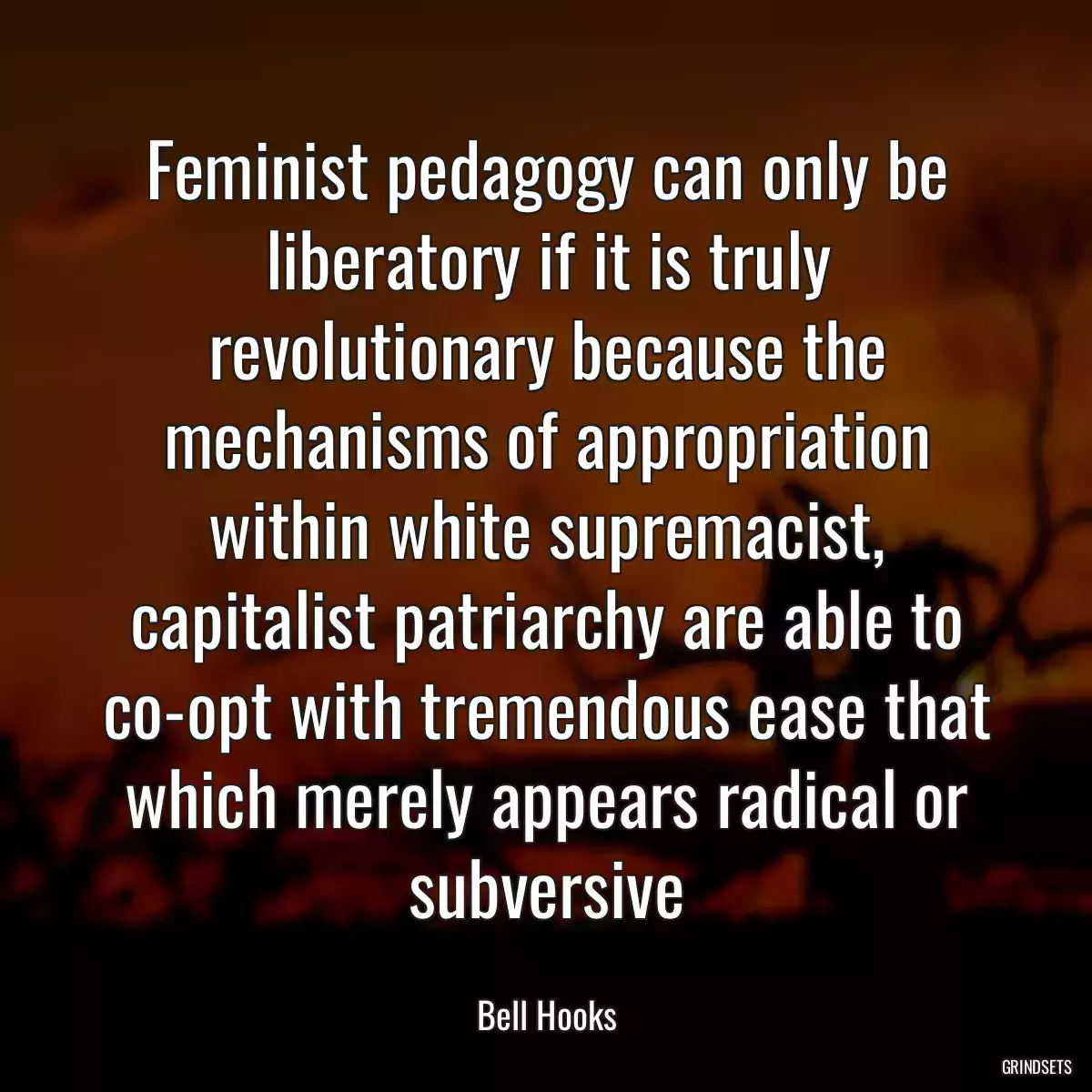 Feminist pedagogy can only be liberatory if it is truly revolutionary because the mechanisms of appropriation within white supremacist, capitalist patriarchy are able to co-opt with tremendous ease that which merely appears radical or subversive