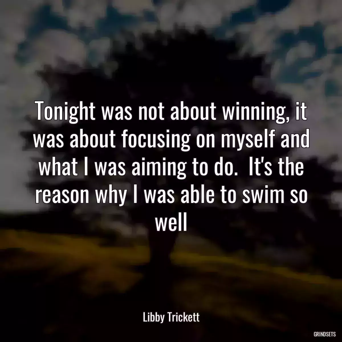 Tonight was not about winning, it was about focusing on myself and what I was aiming to do.  It\'s the reason why I was able to swim so well