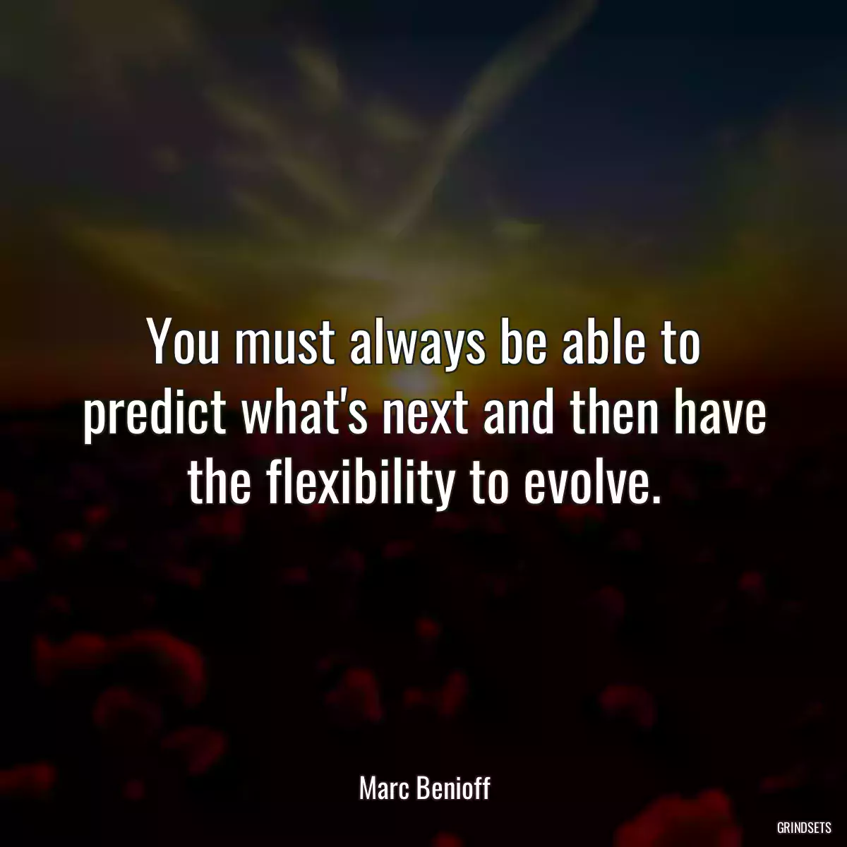 You must always be able to predict what\'s next and then have the flexibility to evolve.