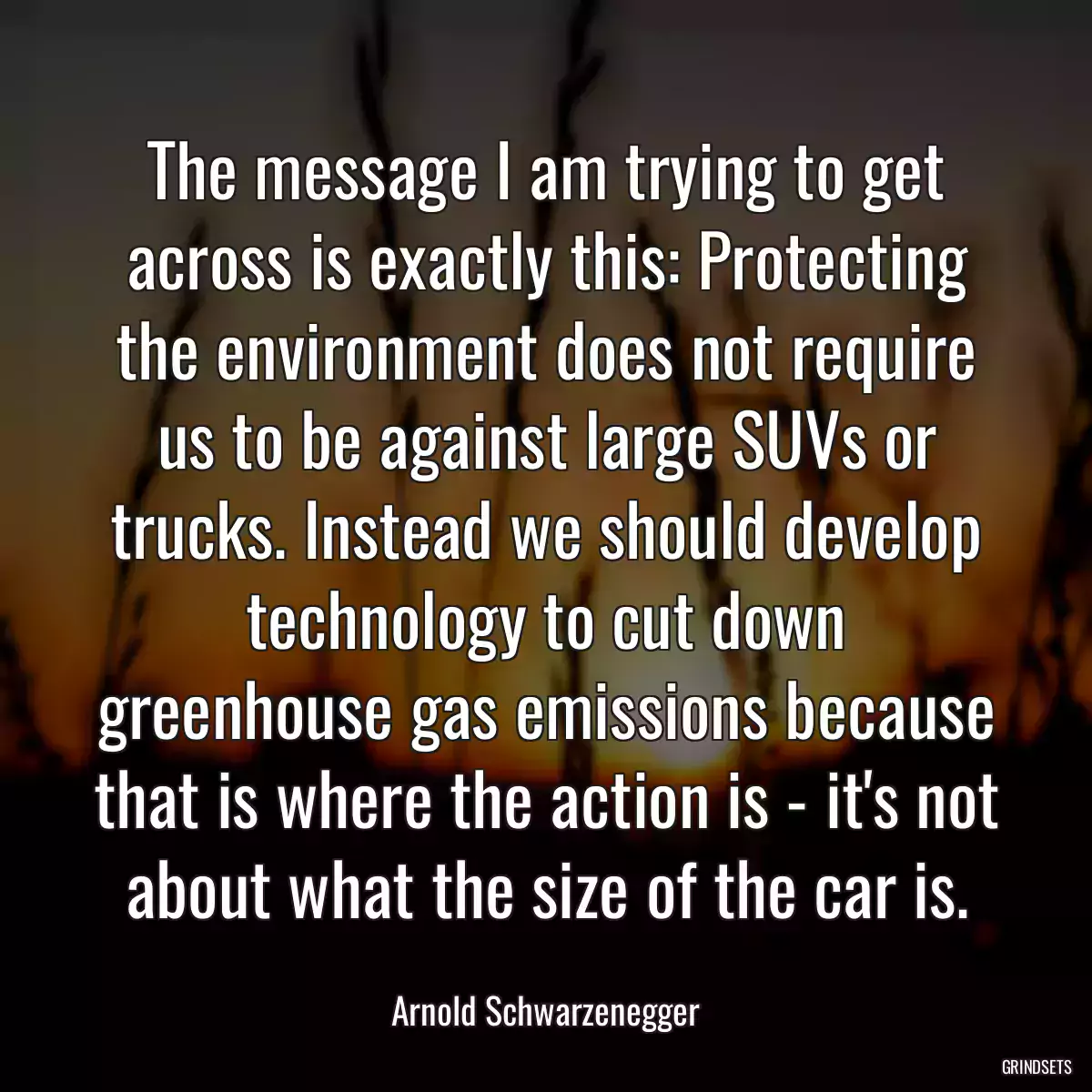 The message I am trying to get across is exactly this: Protecting the environment does not require us to be against large SUVs or trucks. Instead we should develop technology to cut down greenhouse gas emissions because that is where the action is - it\'s not about what the size of the car is.