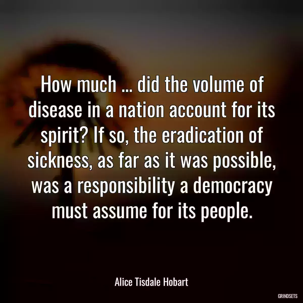 How much ... did the volume of disease in a nation account for its spirit? If so, the eradication of sickness, as far as it was possible, was a responsibility a democracy must assume for its people.