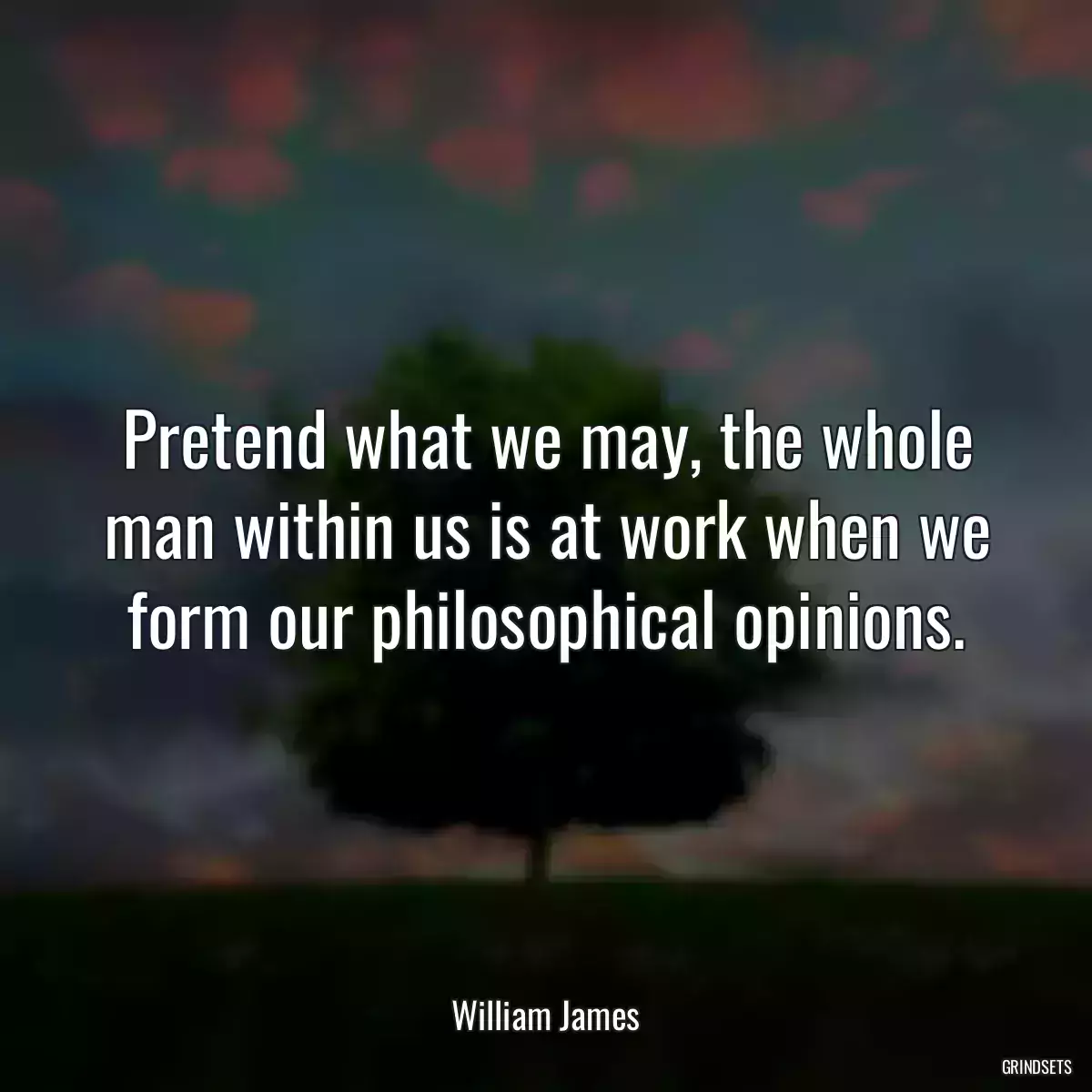 Pretend what we may, the whole man within us is at work when we form our philosophical opinions.