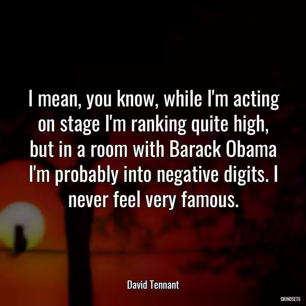 I mean, you know, while I\'m acting on stage I\'m ranking quite high, but in a room with Barack Obama I\'m probably into negative digits. I never feel very famous.