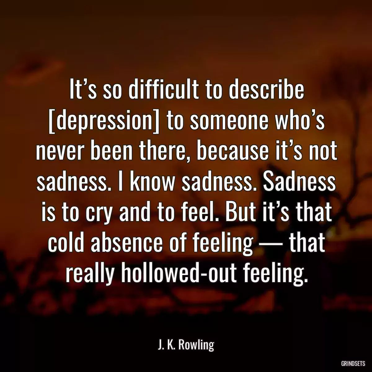 It’s so difficult to describe [depression] to someone who’s never been there, because it’s not sadness. I know sadness. Sadness is to cry and to feel. But it’s that cold absence of feeling — that really hollowed-out feeling.