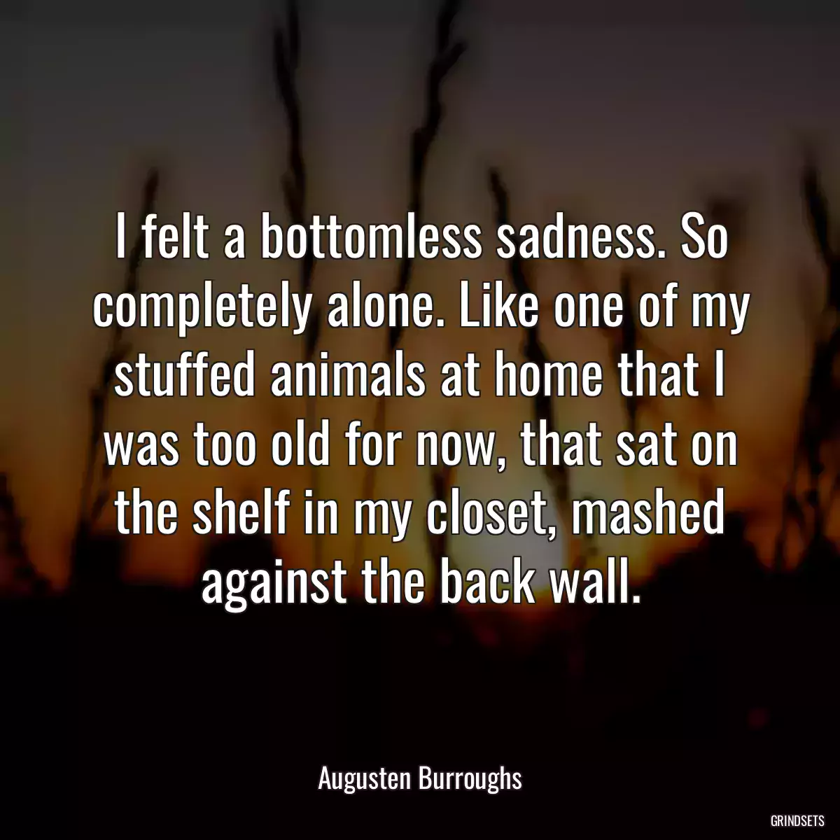 I felt a bottomless sadness. So completely alone. Like one of my stuffed animals at home that I was too old for now, that sat on the shelf in my closet, mashed against the back wall.