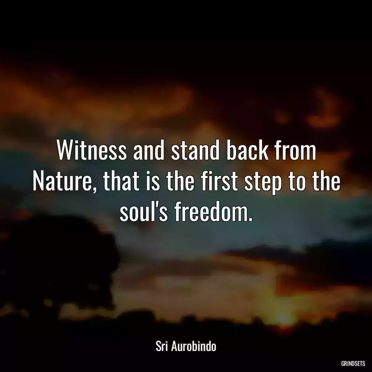 Witness and stand back from Nature, that is the first step to the soul\'s freedom.