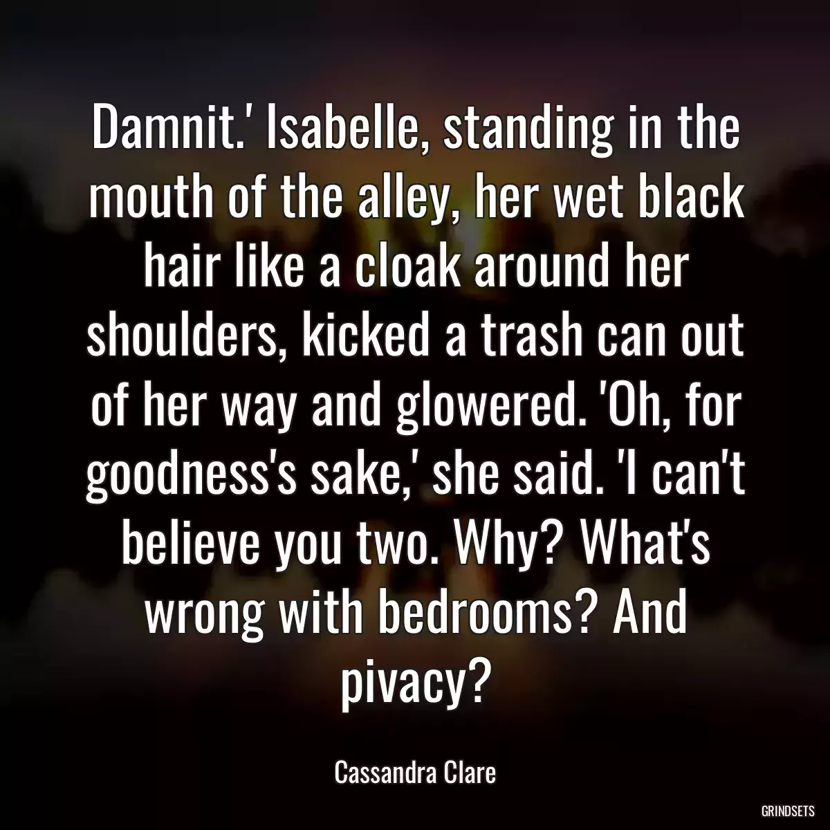 Damnit.\' Isabelle, standing in the mouth of the alley, her wet black hair like a cloak around her shoulders, kicked a trash can out of her way and glowered. \'Oh, for goodness\'s sake,\' she said. \'I can\'t believe you two. Why? What\'s wrong with bedrooms? And pivacy?